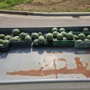 삼가 경로당 이미지