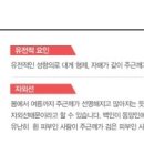 에스피부과의원 이미지