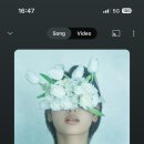 연초초등학교 이미지