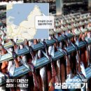 일출과메기 | “겨울이면 기다려지는 단 하나의 맛, 포항 구룡포 일출과메기 먹어본 후기!”