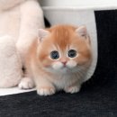 청도메디컬 이미지