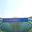 제이앤헤어 | 산본 미용실 추천 제이앤퓨어 헤어살롱에서 임산부 매직셋팅 후기