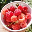 엘에이농장 이미지