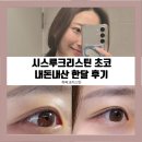 [내돈내산] 하파크리스틴 시스루 크리스틴 초코 한달용 착용 후기 :: 자연광, 실내광 차이