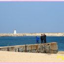 문암2리항 이미지