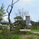 남산공원 이미지