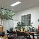 춘천호반막국수 | 광주 상무지구 쌍촌동 현지인 맛집인 춘천 호반 닭갈비막국수 내돈내산 후기