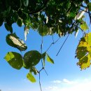 망양펜션 이미지