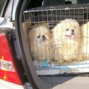 가계주차장 이미지