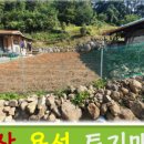 경산행운공인중개사사무소 이미지