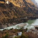 형제종축 이미지