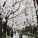 청안면다목적광장 이미지