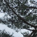 서울종합행정사LK사무소 이미지