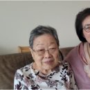 안귀옥법률사무소