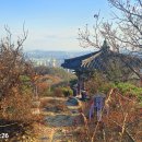 만월산배수지체육광장 | 만월산 등반 &amp; 동암산 맨발 걷기장 낙엽쓸기(2025.11.18)