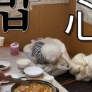 쌍둥이네 애견 이미지