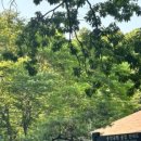 중앙공원배드민턴장 이미지