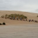 끝없이 펼쳐진 황금빛 모래사막을 체험할 수 있는 옥룡사호(사막) 이미지
