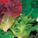 경신농장 이미지