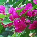 풍경찻집 이미지