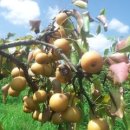 똘배농장 이미지