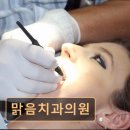 맑음치과의원 네이버블로그