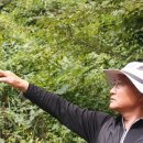 주어사지 이미지