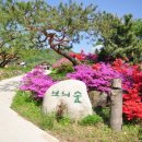 보늬숲밤농장 이미지