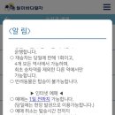 바다노선 이미지