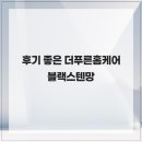 후기 좋은 더푸른홈케어 블랙스텐망