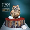아울 이미지