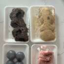 낙원떡집 - 수원시 권선구 세권로 185 | [창원 성산구 맛집] 창원 떡집 | 반송시장 맛집 "반송시장낙원떡집" 떡 포장 솔직 후기