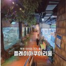 조마루로 | 부천 아이와 가볼 만한 곳｜플레이 아쿠아리움 연간회원 솔직후기