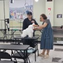 미래애견 이미지