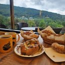 몽르베 | 용인 고기리 베이커리 카페 몽르베(Mont Levé) 재방문 후기 🍞✨ 모카빵 & 올리브치아바타 찐맛집...