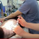 진수동물병원 이미지