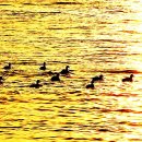 물결속으로 이미지