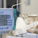 호주 코로나 스캔들 결과 이미지