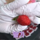 솔라갤러리 이미지