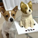 월월스낵 | 잠실강아지케이크 월월스낵 넘귀여운 칸쵸 케익 후기