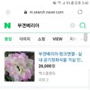 정운농장 이미지