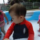 어푸어푸 이미지