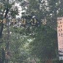 개나리산장 이미지