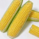 뻥튀기공원 이미지