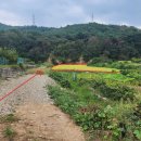 선원농장 이미지