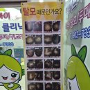 엔젤아이의원 | 탈모가 걱정돼서 찾아간 엔젤아이의원, 직접 다녀온 진짜 후기🌱