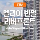 제멜리아 이미지