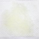 죽전예담동물병원 이미지