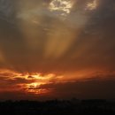 새기운목장 이미지