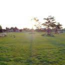 장도리민박 이미지